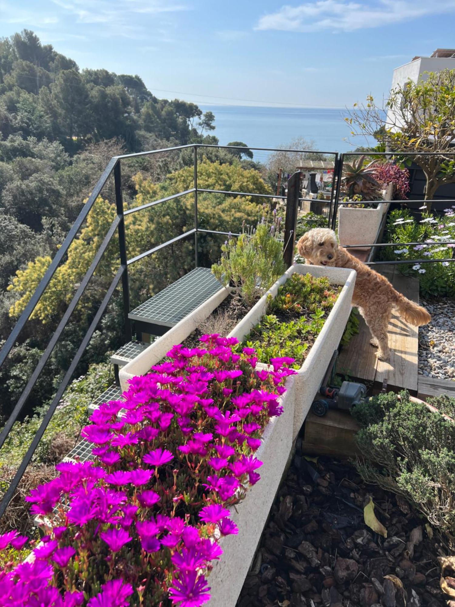 Casa Karian Lägenhet Tossa de Mar Exteriör bild